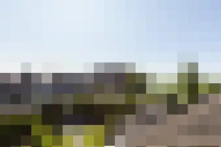 Kleine vos 11 Sneek thumbnail 30