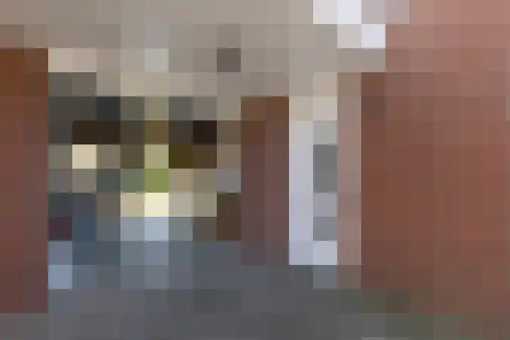 Kleine vos 11 Sneek thumbnail 31