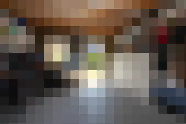 Kleine vos 11 Sneek thumbnail 33