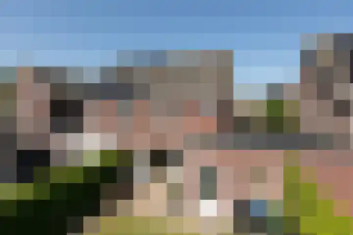 Kleine vos 11 Sneek thumbnail 34