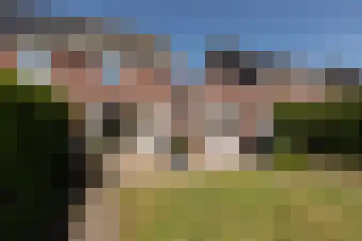 Kleine vos 11 Sneek thumbnail 35
