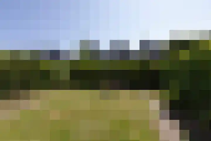 Kleine vos 11 Sneek thumbnail 36