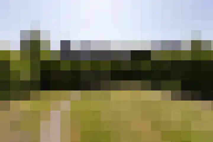 Kleine vos 11 Sneek thumbnail 37