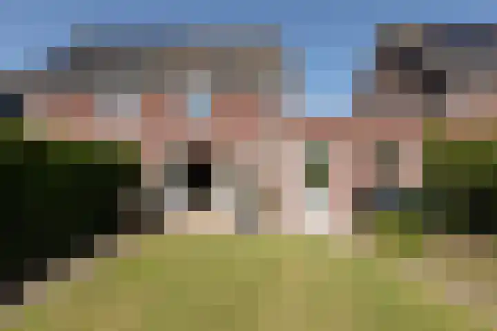 Kleine vos 11 Sneek thumbnail 38