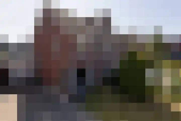 Kleine vos 11 Sneek thumbnail 40