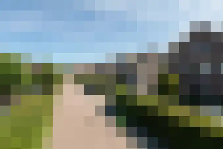 Kleine vos 11 Sneek thumbnail 42