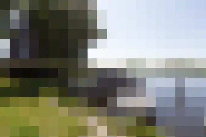 Kleine vos 11 Sneek thumbnail 43