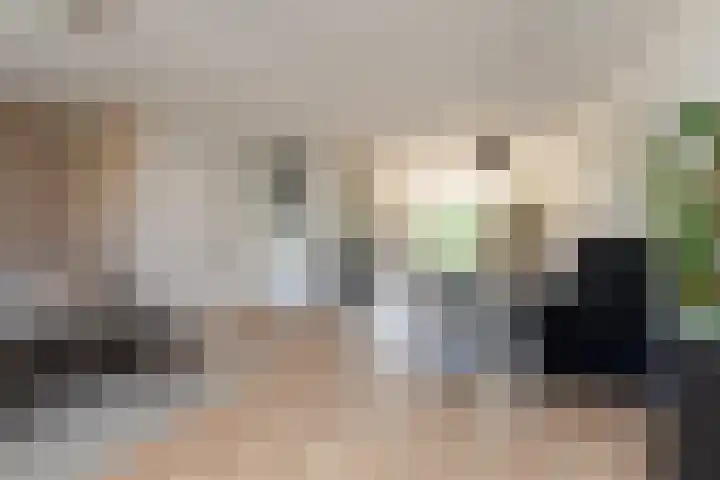 Kleine vos 11 Sneek thumbnail 5