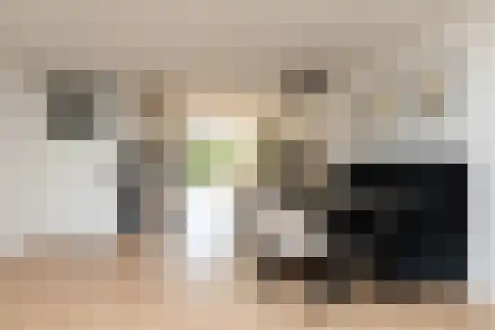 Kleine vos 11 Sneek thumbnail 6
