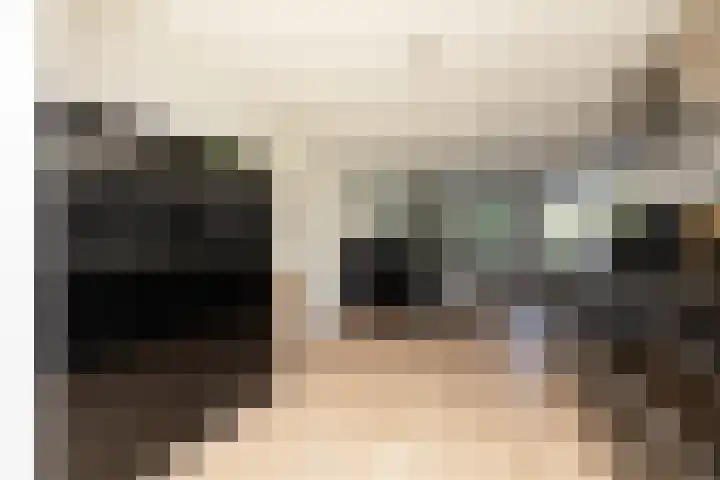 Kleine vos 11 Sneek thumbnail 8