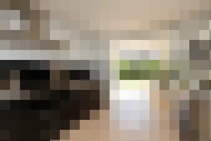 Kleine vos 11 Sneek thumbnail 9