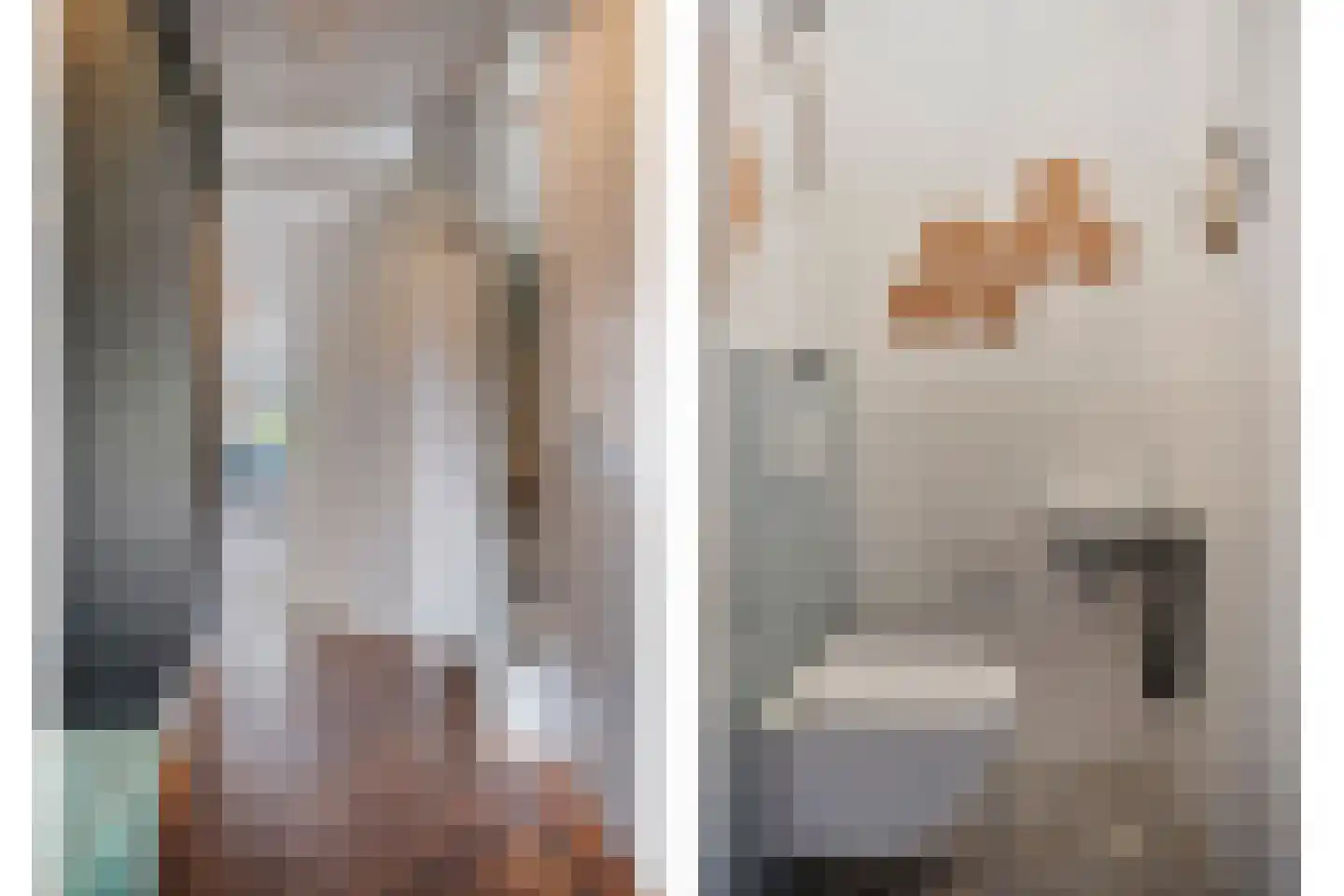 Kleine Vos 16 Mierlo thumbnail 15