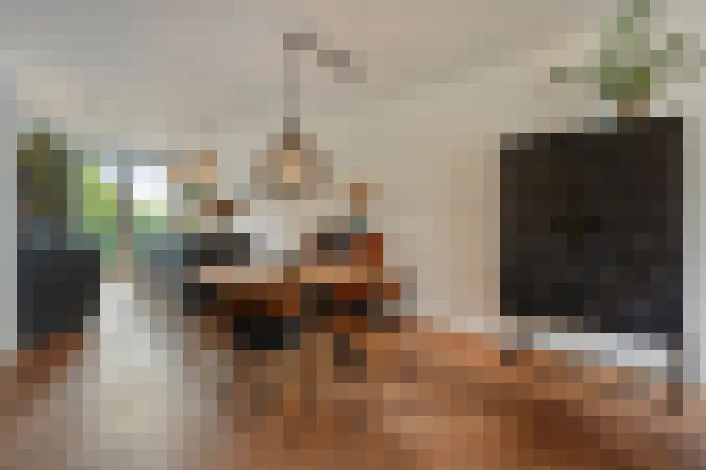 Kleine Vos 16 Mierlo thumbnail 20