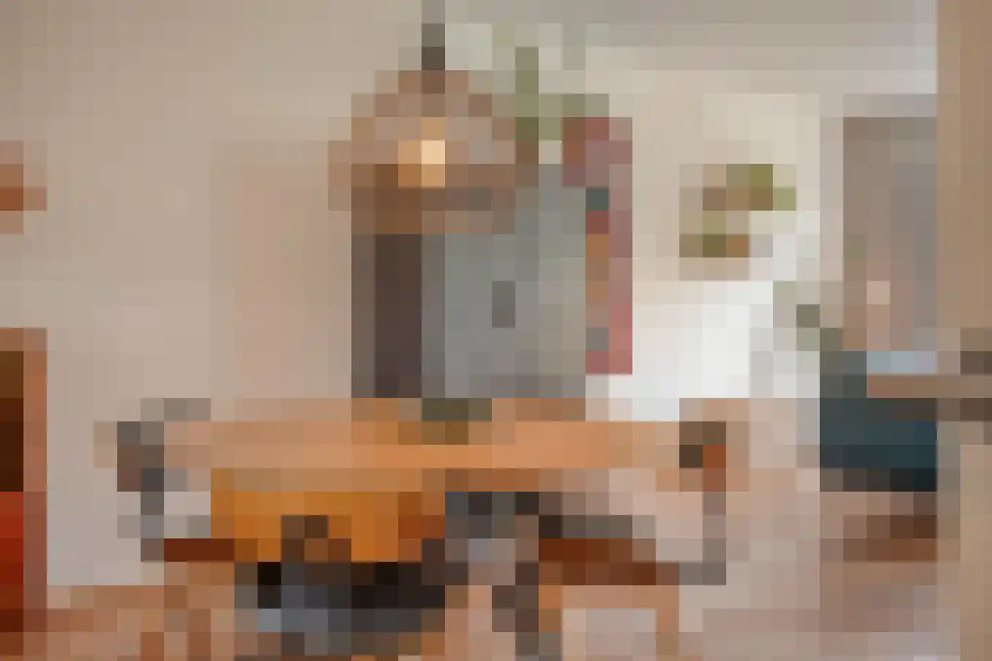 Kleine Vos 16 Mierlo thumbnail 21