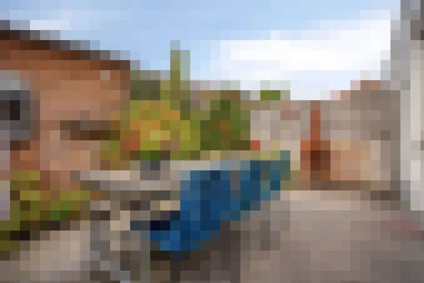 Kleine Vos 16 Mierlo thumbnail 28