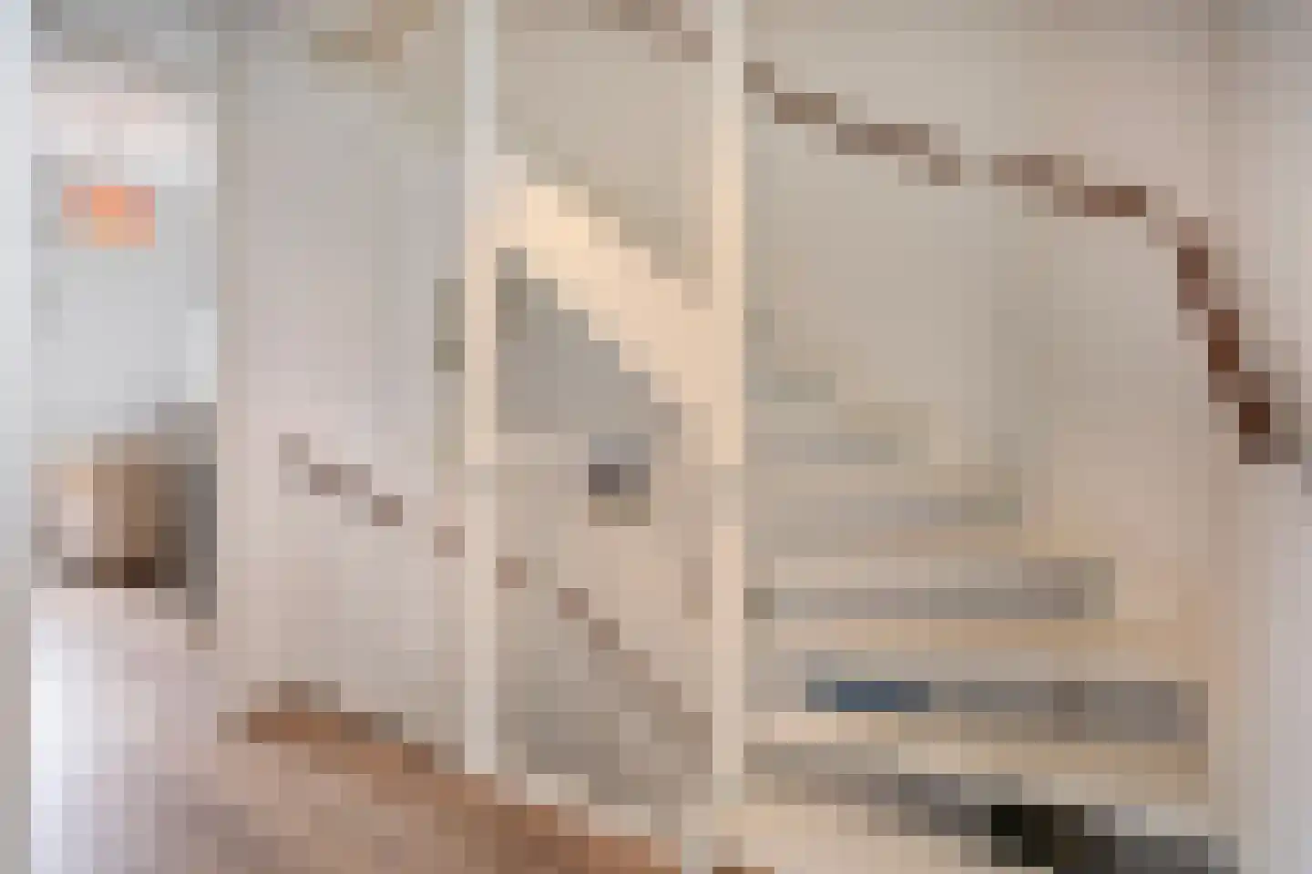Kleine Vos 16 Mierlo thumbnail 30