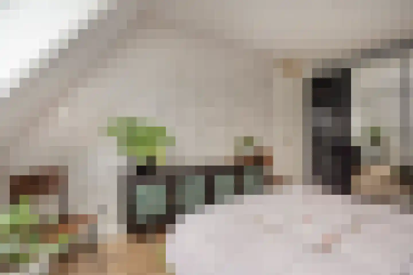 Kleine Vos 16 Mierlo thumbnail 34