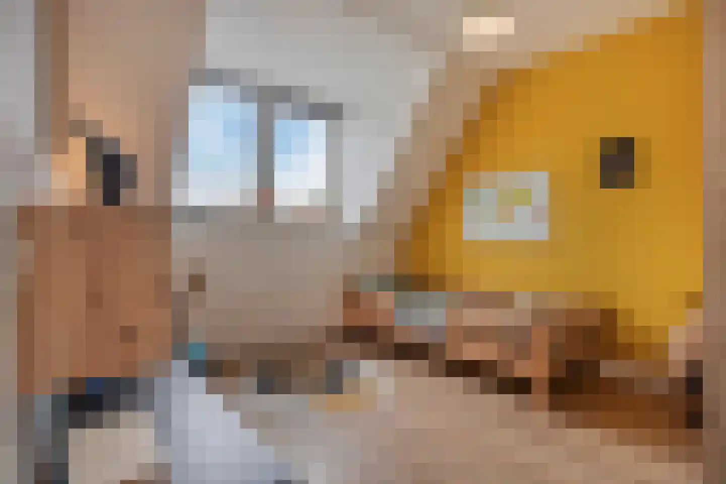 Kleine Vos 16 Mierlo thumbnail 38