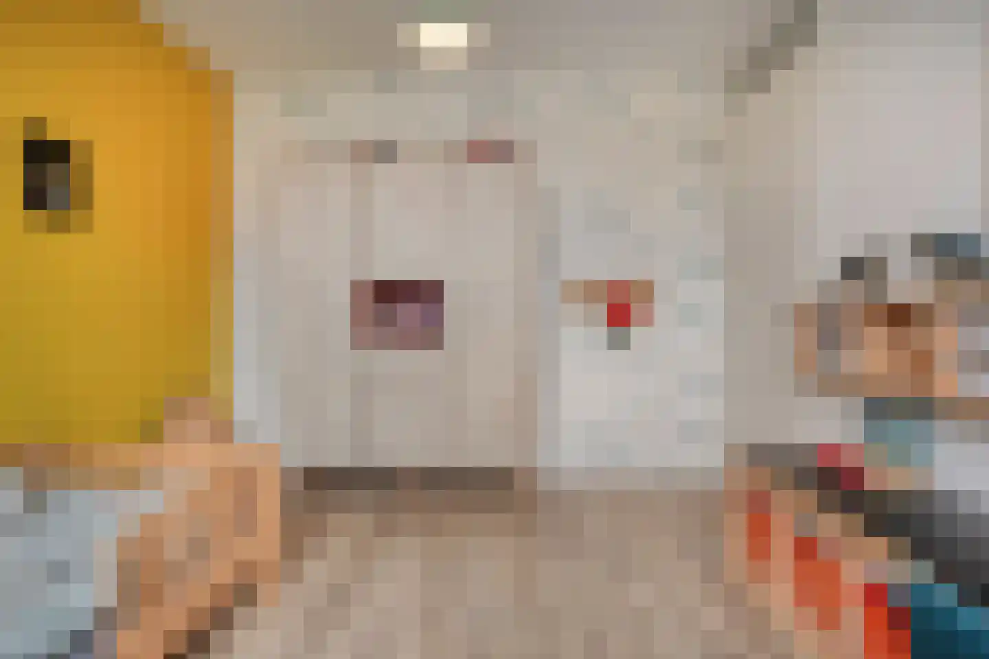 Kleine Vos 16 Mierlo thumbnail 39