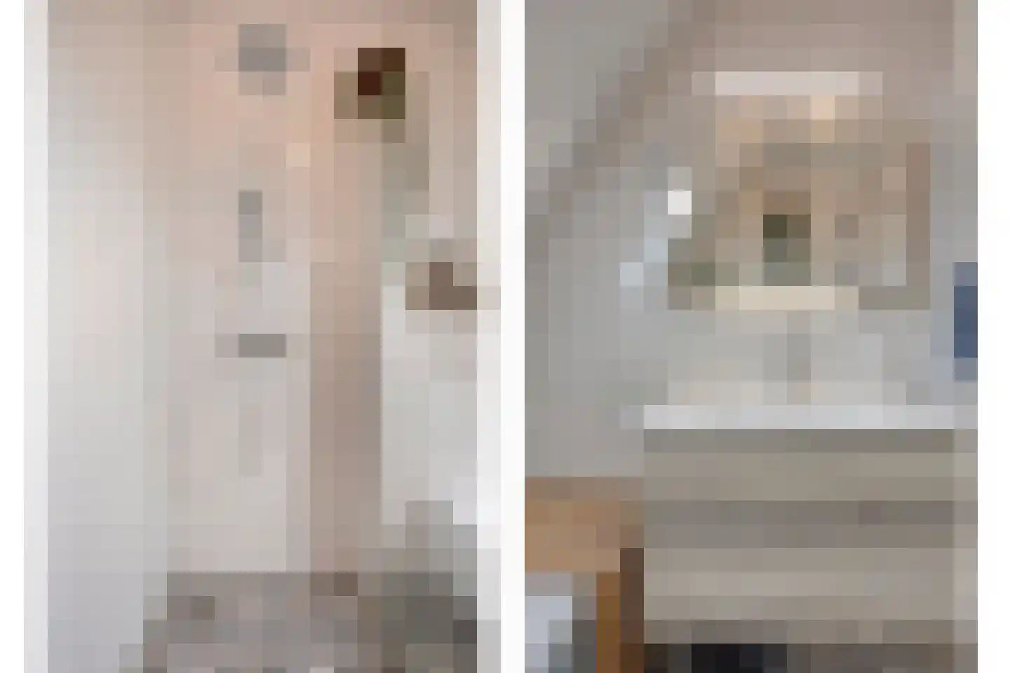 Kleine Vos 16 Mierlo thumbnail 42