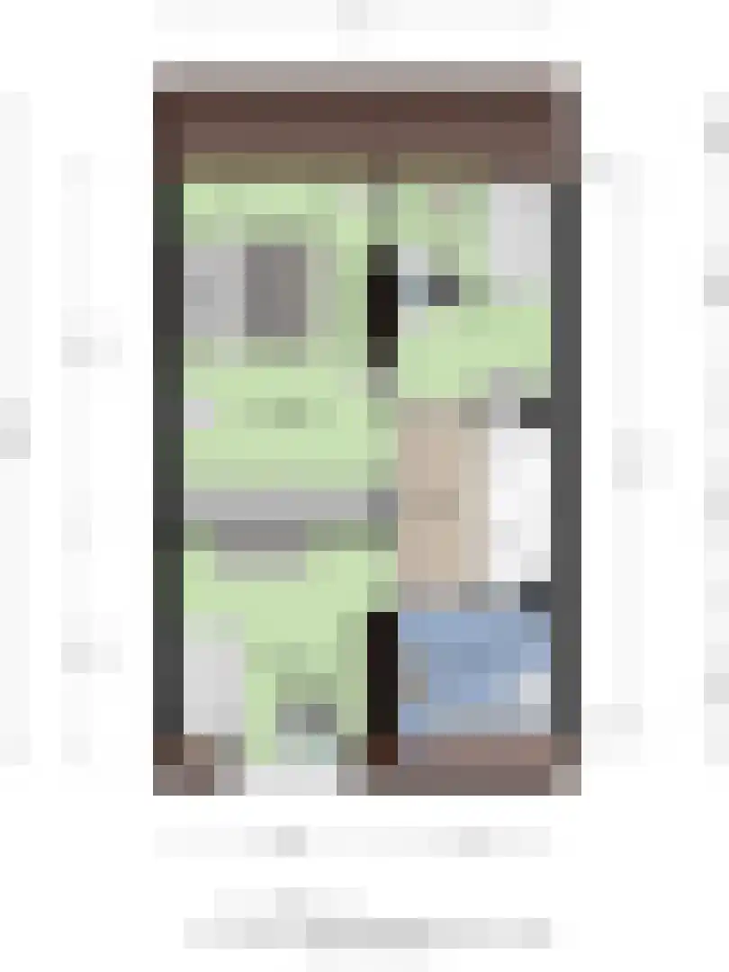 Kleine Vos 16 Mierlo thumbnail 43