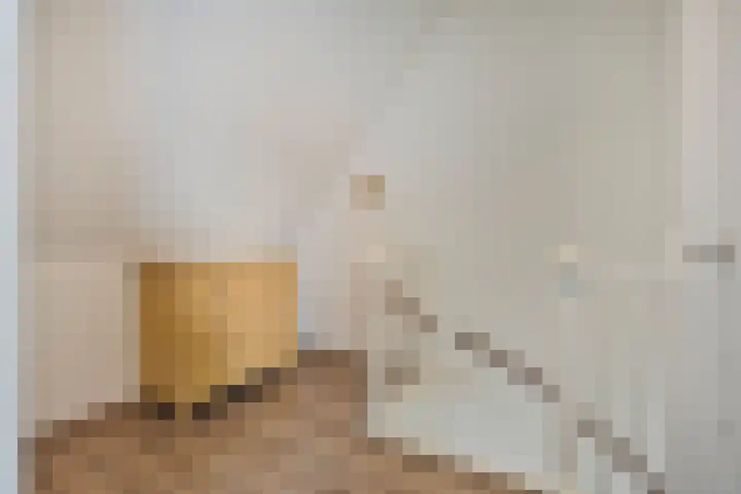 Kleine Vos 16 Mierlo thumbnail 44
