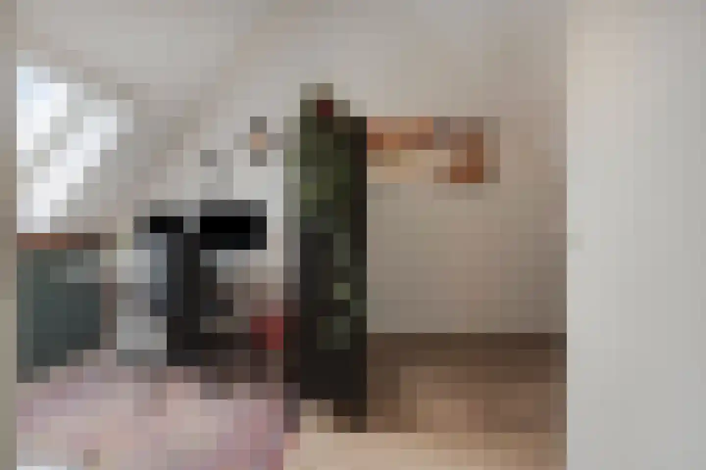 Kleine Vos 16 Mierlo thumbnail 45