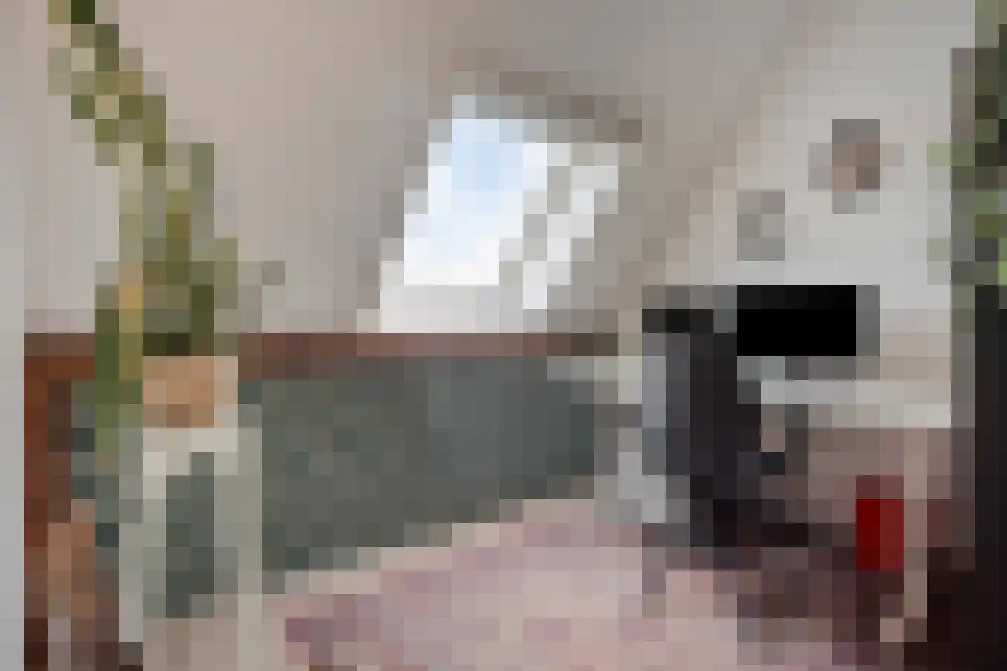 Kleine Vos 16 Mierlo thumbnail 46