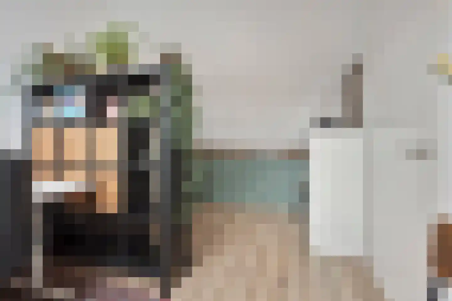 Kleine Vos 16 Mierlo thumbnail 47