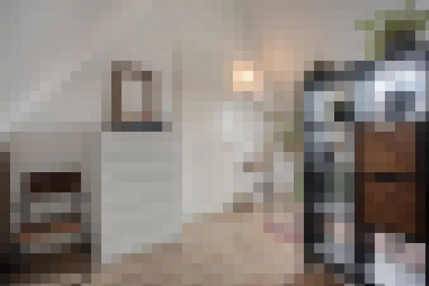 Kleine Vos 16 Mierlo thumbnail 48