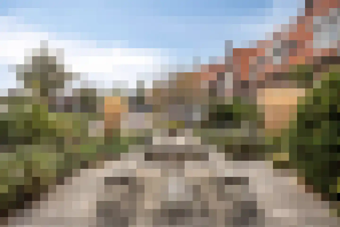 Kleine Vos 16 Mierlo thumbnail 50