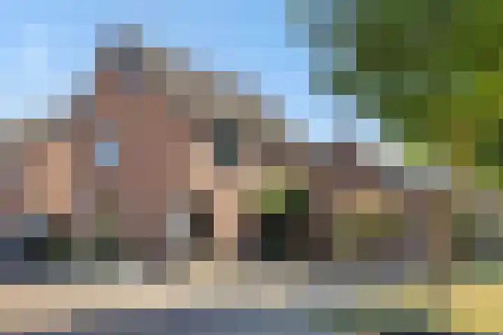 Kleine Vos 2 in Deurne