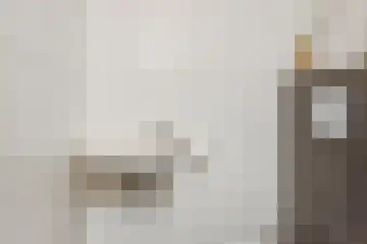 Kleine Vos 2 Deurne thumbnail 10