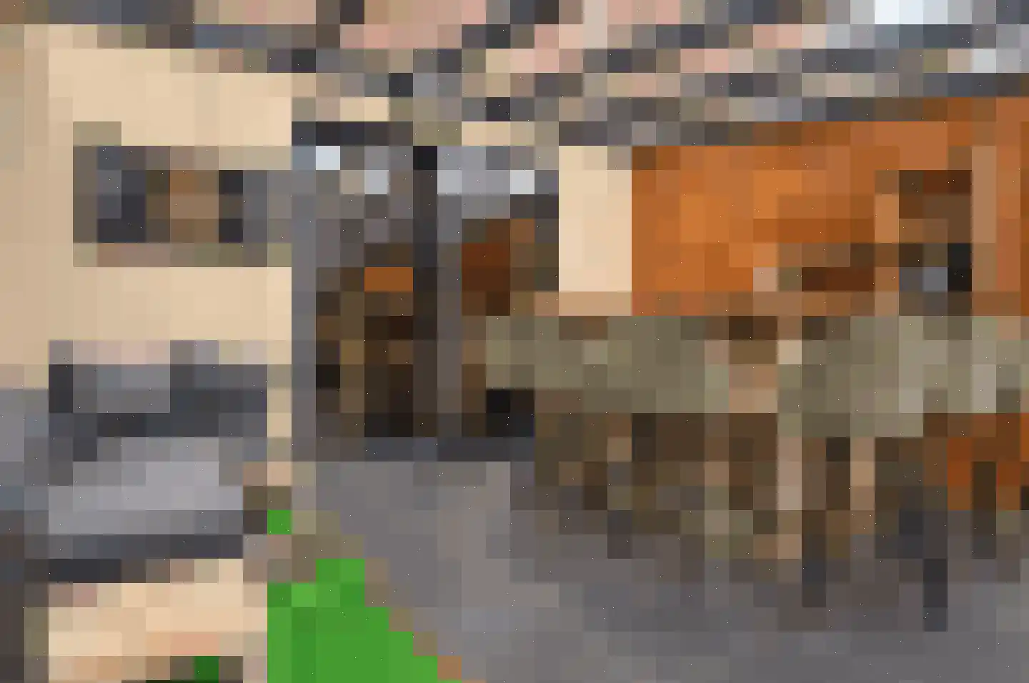 Kleine Vos 2 Deurne thumbnail 10