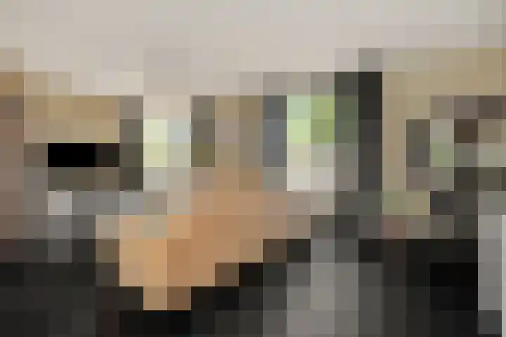 Kleine Vos 2 Deurne thumbnail 11
