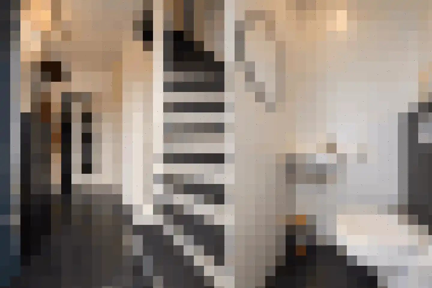 Kleine Vos 2 Deurne thumbnail 11