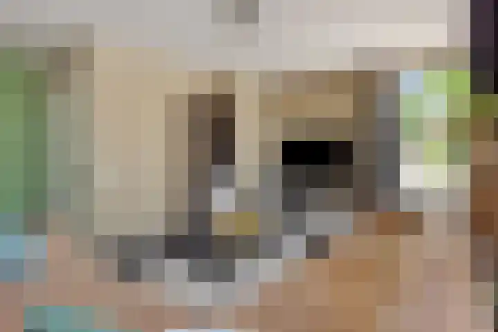 Kleine Vos 2 Deurne thumbnail 12