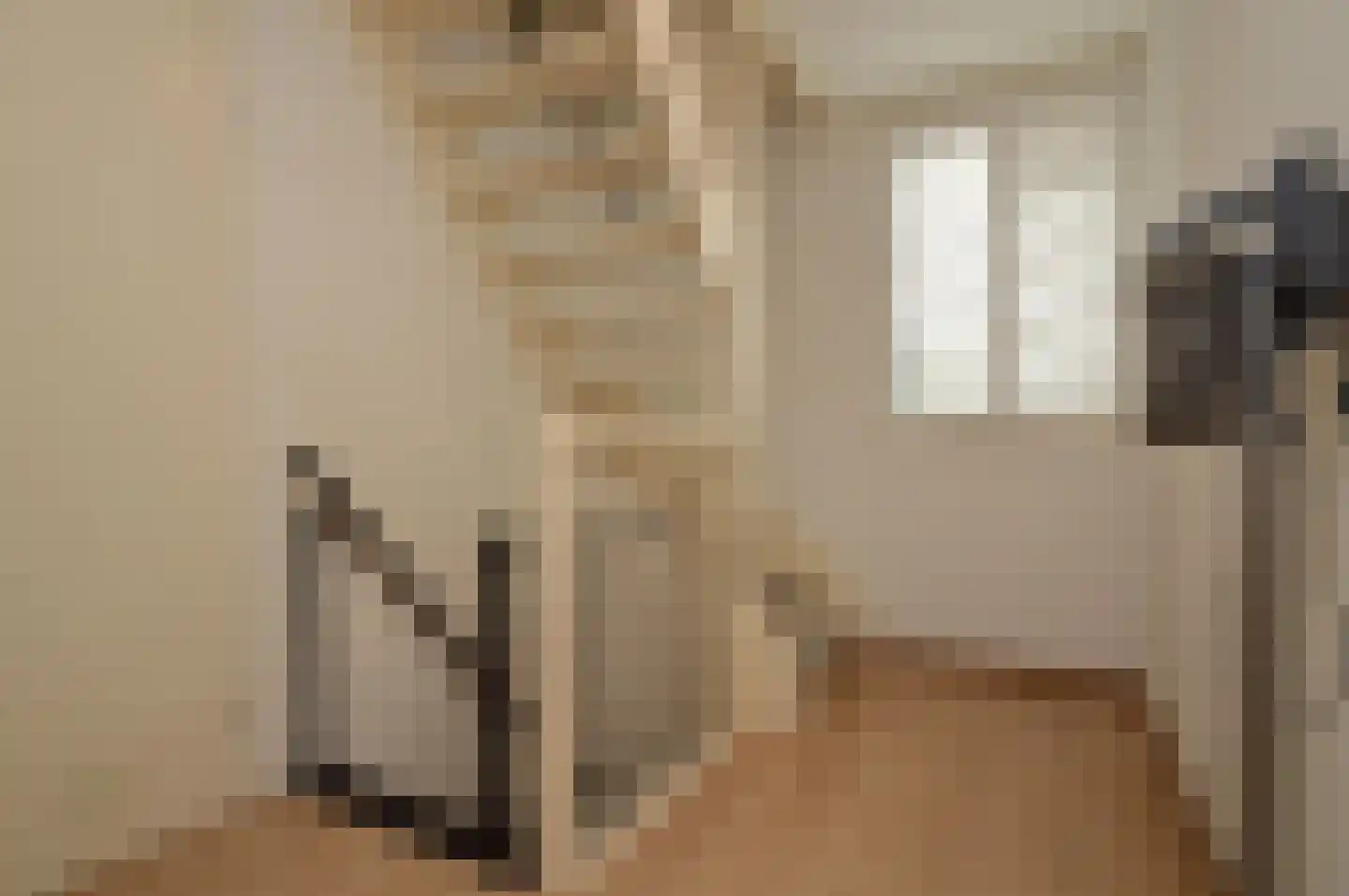 Kleine Vos 2 Deurne thumbnail 12