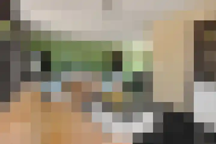 Kleine Vos 2 Deurne thumbnail 13