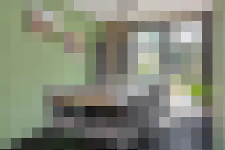 Kleine Vos 2 Deurne thumbnail 14