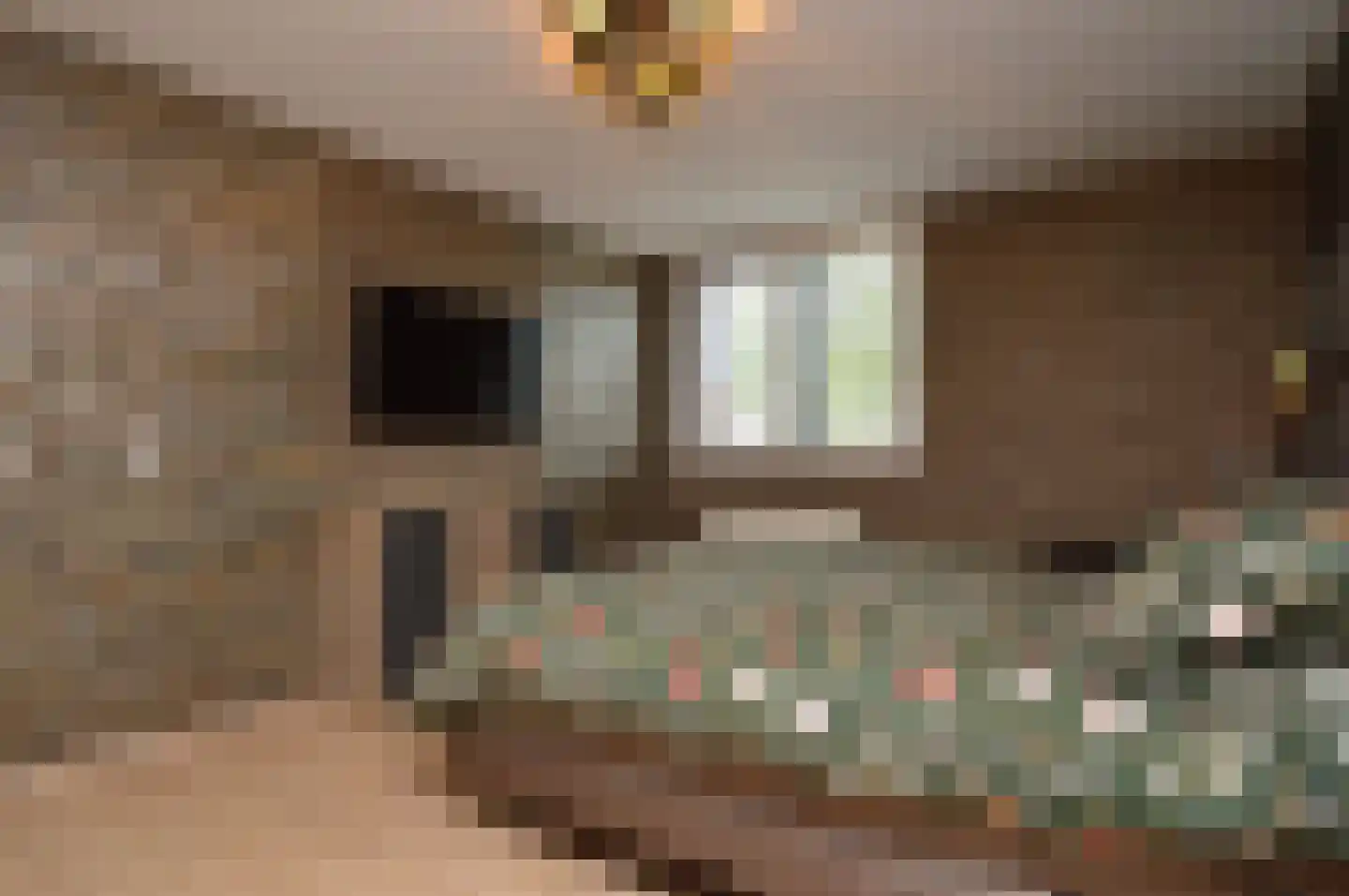 Kleine Vos 2 Deurne thumbnail 14