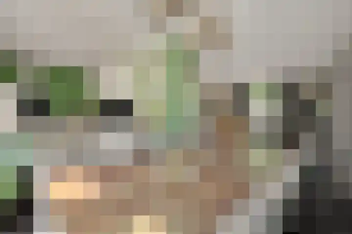 Kleine Vos 2 Deurne thumbnail 15
