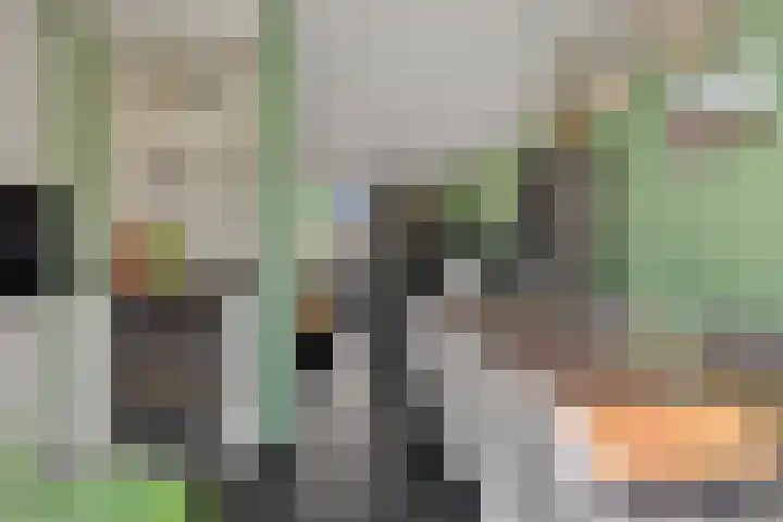 Kleine Vos 2 Deurne thumbnail 16