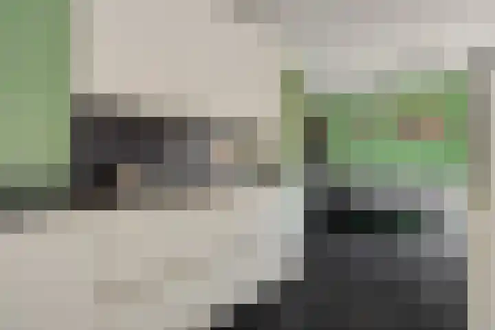 Kleine Vos 2 Deurne thumbnail 17