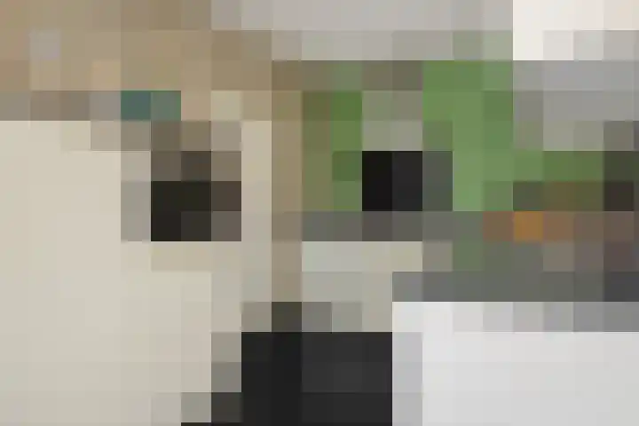Kleine Vos 2 Deurne thumbnail 18
