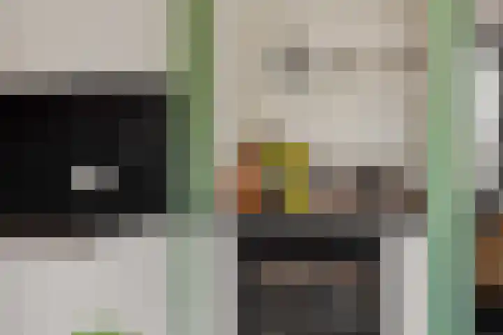 Kleine Vos 2 Deurne thumbnail 19