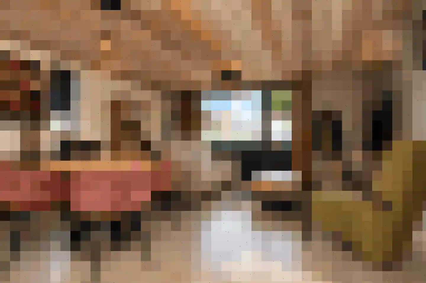 Kleine Vos 2 Deurne thumbnail 20