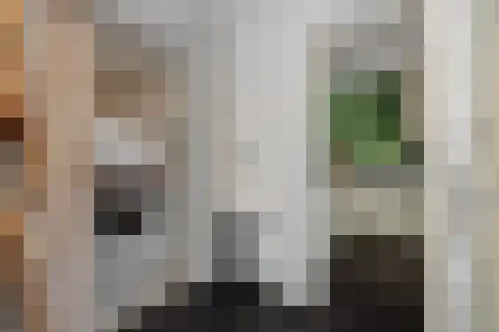 Kleine Vos 2 Deurne thumbnail 20
