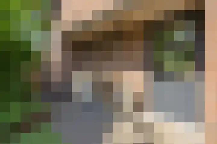 Kleine Vos 2 Deurne thumbnail 21