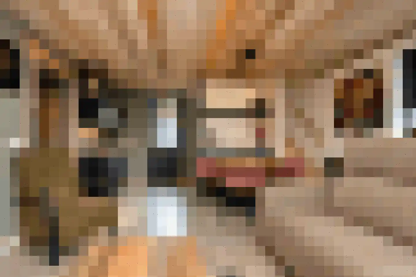 Kleine Vos 2 Deurne thumbnail 21